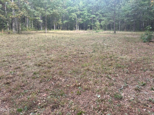 4030 GRANITE RIDGE TRL, RALEIGH, NC 27616 - Image 7dc3a0511a6d103fec89df94de049a82/3108069177