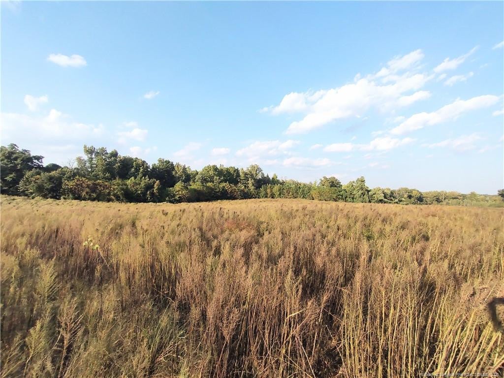 0 Fire Tower Road