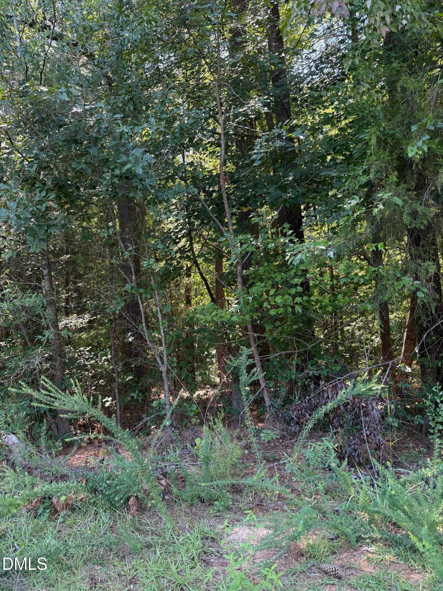 0 Williams Farm Road