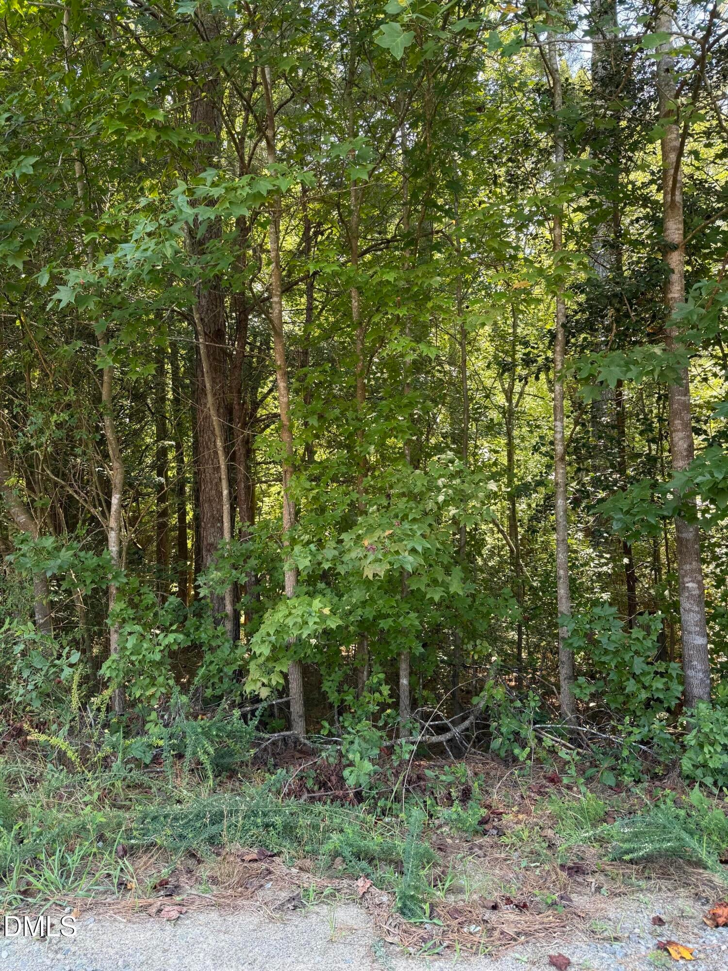 0 Williams Farm Road