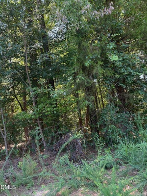 0 WILLIAMS FARM ROAD, SANFORD, NC 27332 - Image 833fae26cf5a9271a9c5d438ddda9e12/802558326