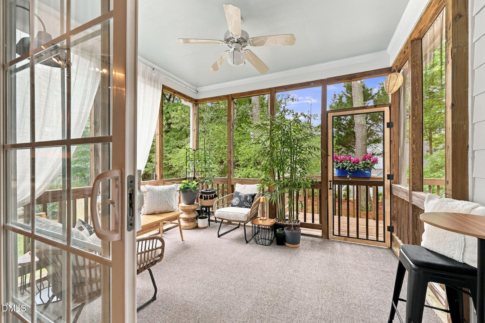 6 Sydenham Road