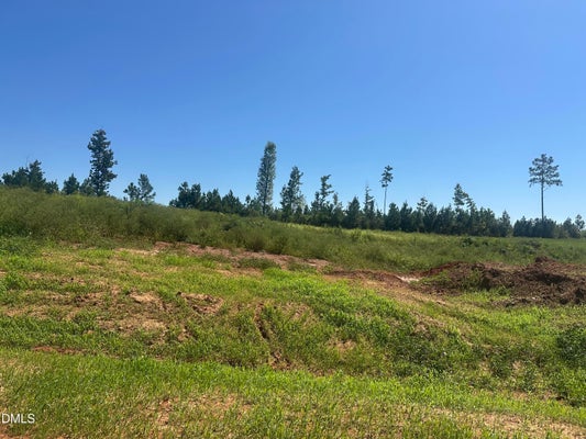 W OLD SPRING HOPE RD, SPRING HOPE, NC 27882 - Image 8b7f013872ce03fbda9c82e466c9ae49/699139575