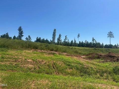 Photo of Lot 6 0 W Old Spring Hope Rd, Spring Hope, NC 27882 (MLS # 10193170)