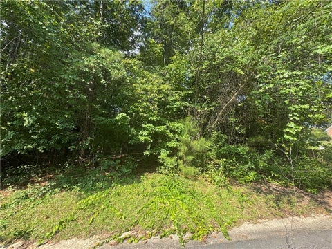 Photo of 0 Stonington Drive, Fayetteville, NC 28311 (MLS # LP768900)