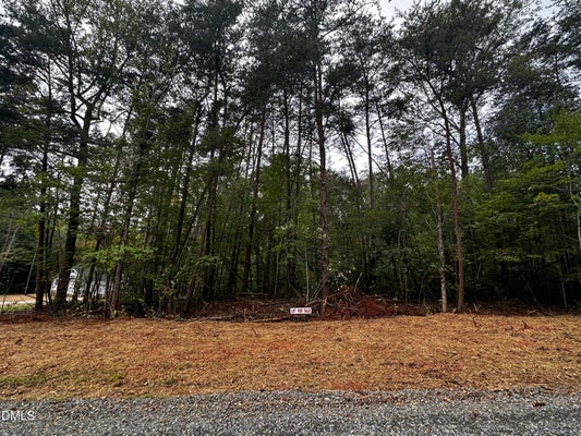 LOT 47 GREEN PINE ROAD, CEDAR GROVE, NC 27231 - Image 8e1418334017cc0eb2b354129e8d92e6/2567053424