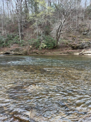 106 7 ISLAND RD, DANBURY, NC 27016 - Image 8fab186e659460caedb72ed15ef0beb7/1268715809