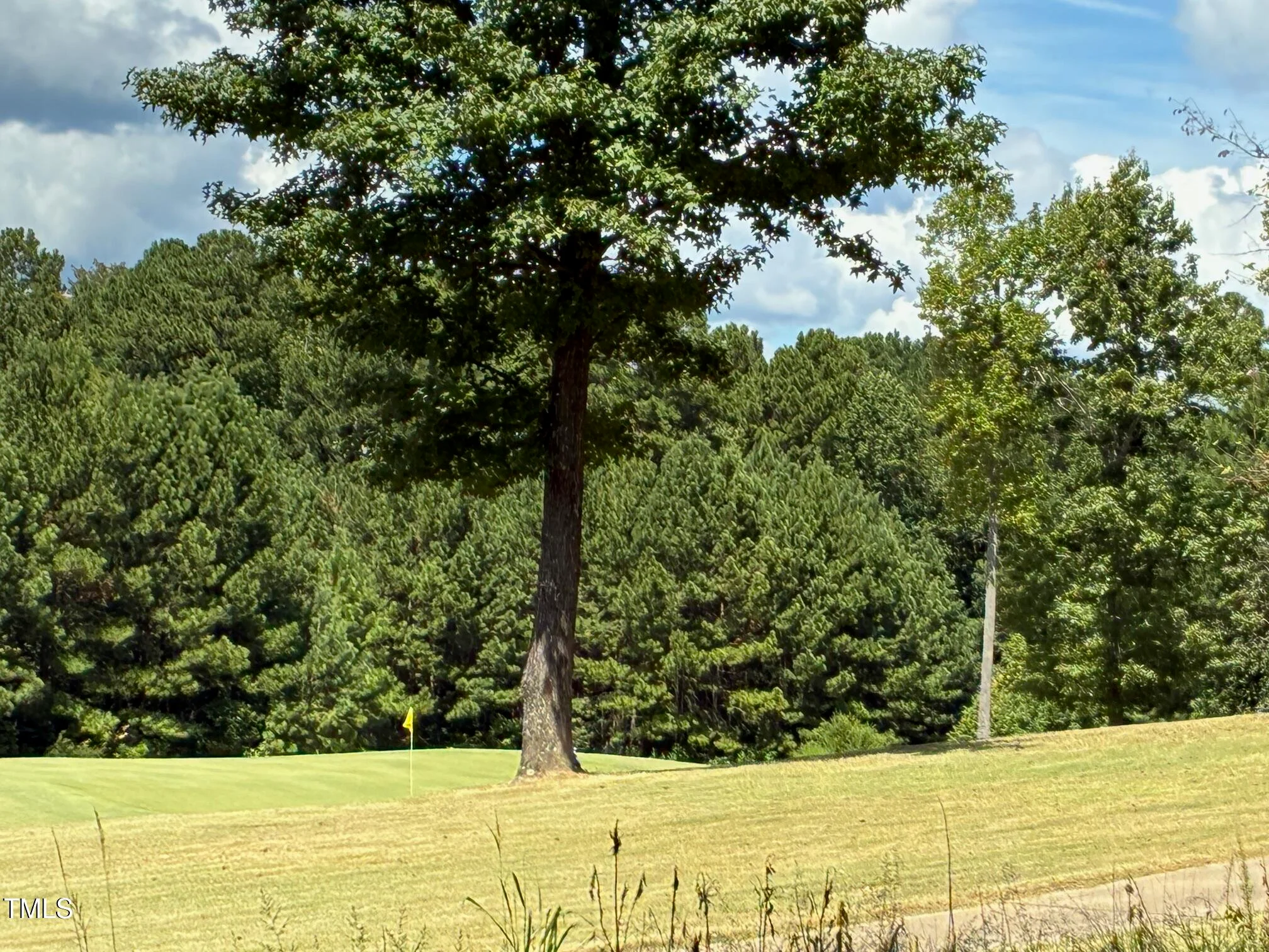 44 Sweet Meadow Lane