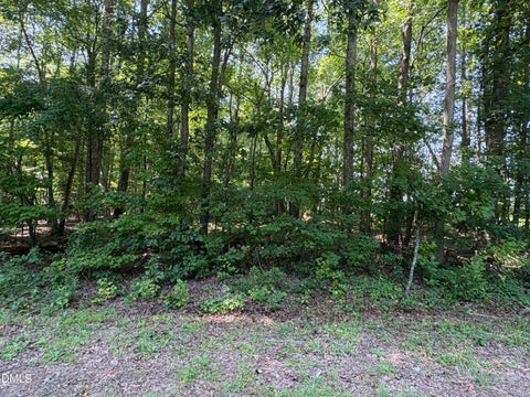 Photo of Lot 1 Sams Road, Mebane, NC 27302 (MLS # 10187716)
