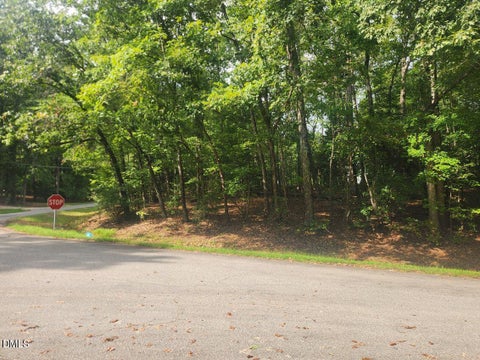 Photo of 421 Shawnee Drive, Louisburg, NC 27549 (MLS # 10194198)