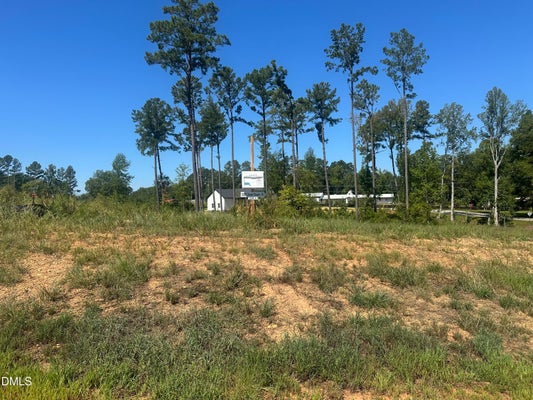 3324 GREEN DOWNS TRL, SPRING HOPE, NC 27882 - Image 98a3cc8eb69ebb2d9279c82d1f90ccf7/2881403197
