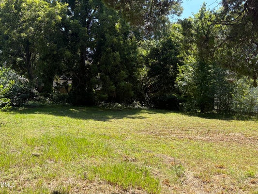 1112 HOLLOWAY ST, DURHAM, NC 27701 - Image 98f86ac1e37b5477ade8140a1ed0e49a/3985205440
