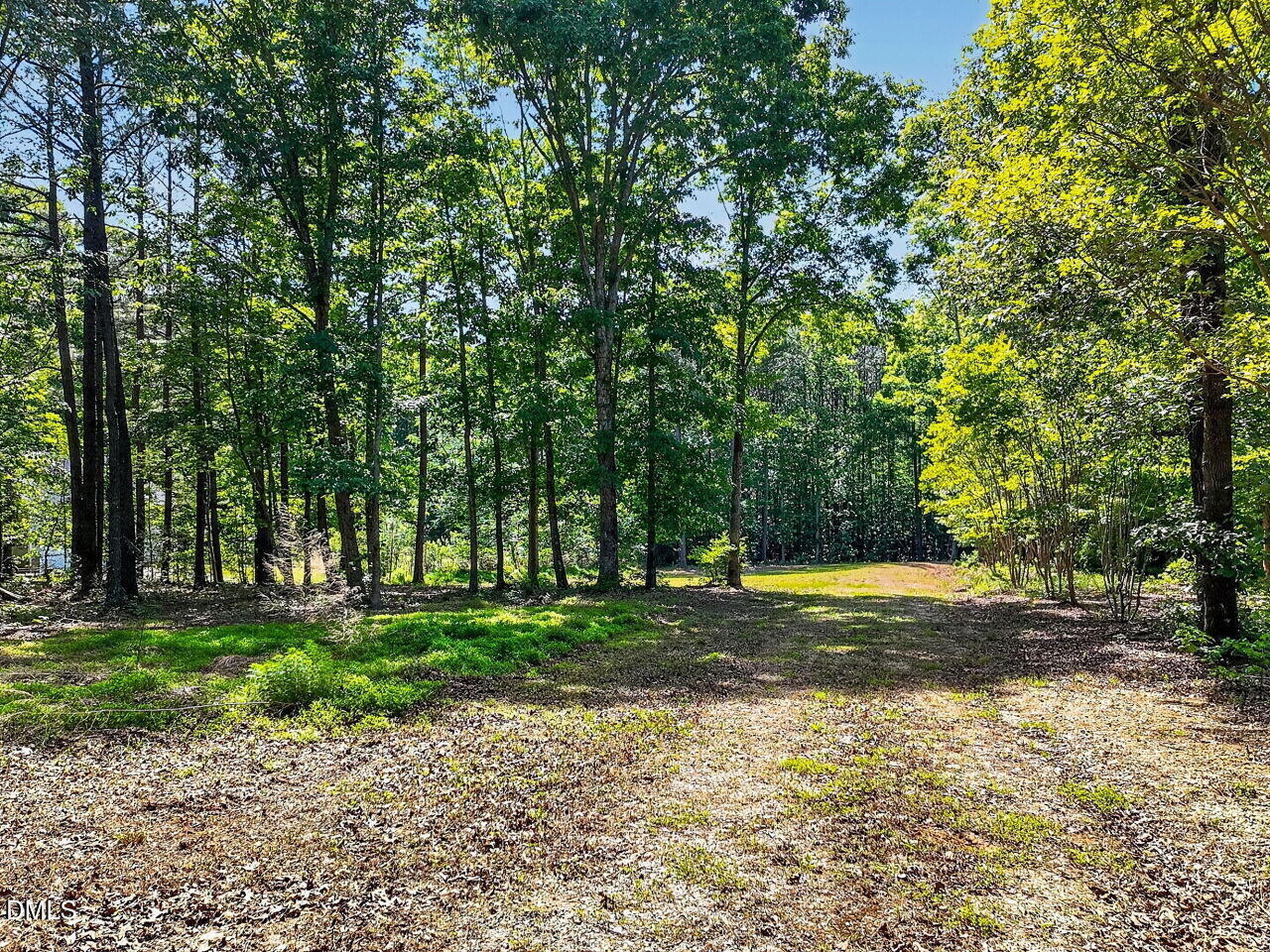 8177 North Carolina 42