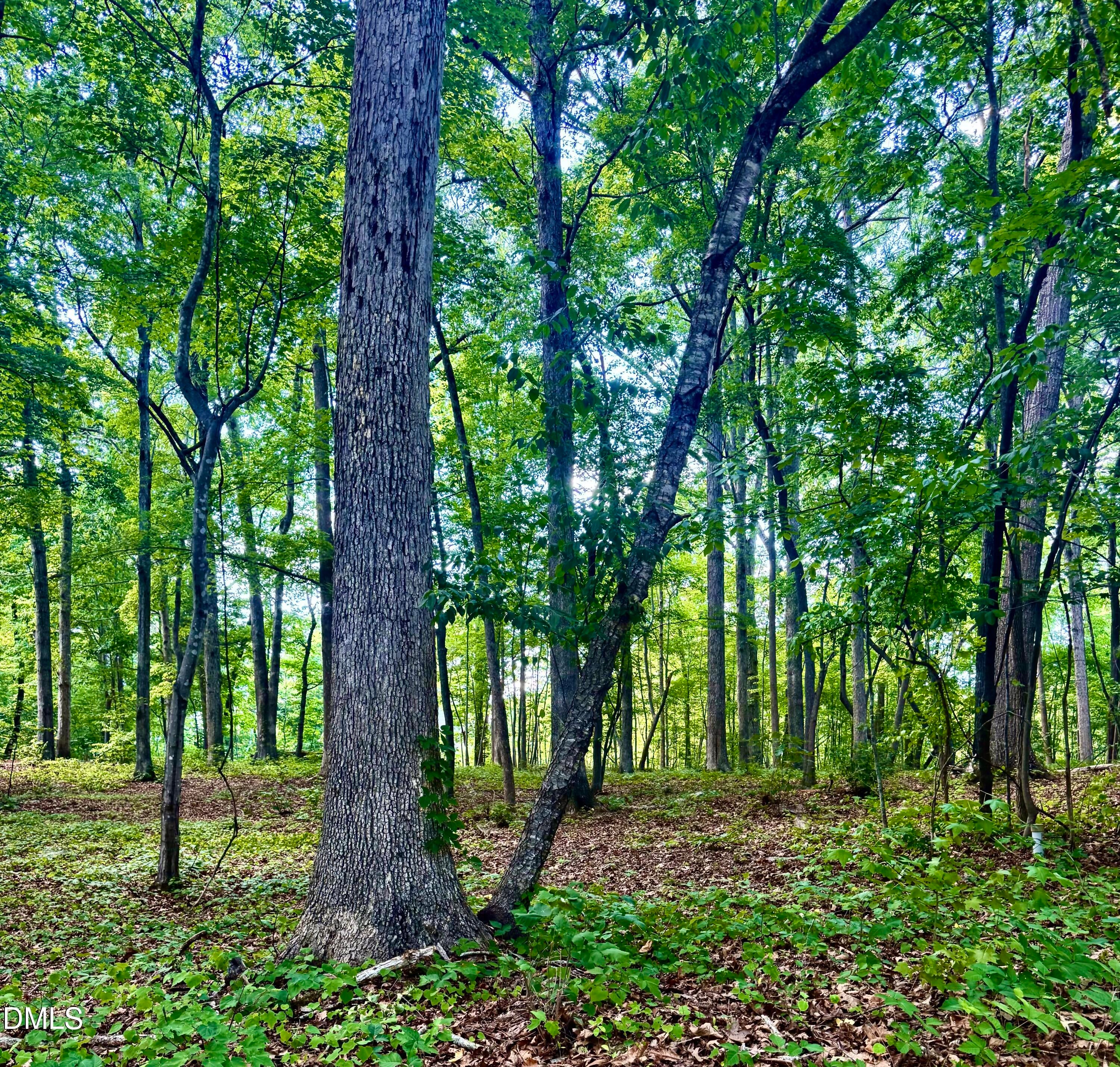 604 Appaloosa Trail