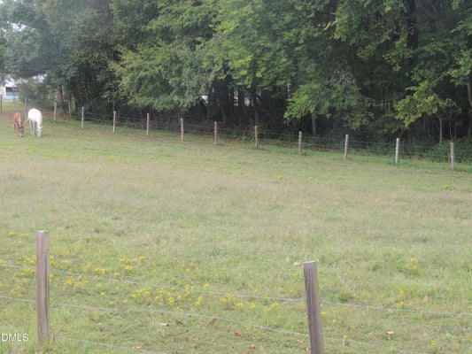 1353 BEASLEY RD, LOUISBURG, NC 27549 - Image 9be2b442e34d36de7041cb63c2b15b36/1865470253