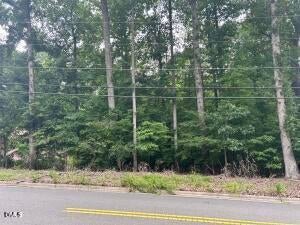 2832 BEECHWOOD DR, DURHAM, NC 27707 - Image 9e2ea80e94c740cceb91cfb648898743/4238027061