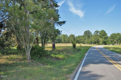 Photo of 1738 Laurel Mill-centerville Road, Louisburg, NC 27549 (MLS # 10189790)