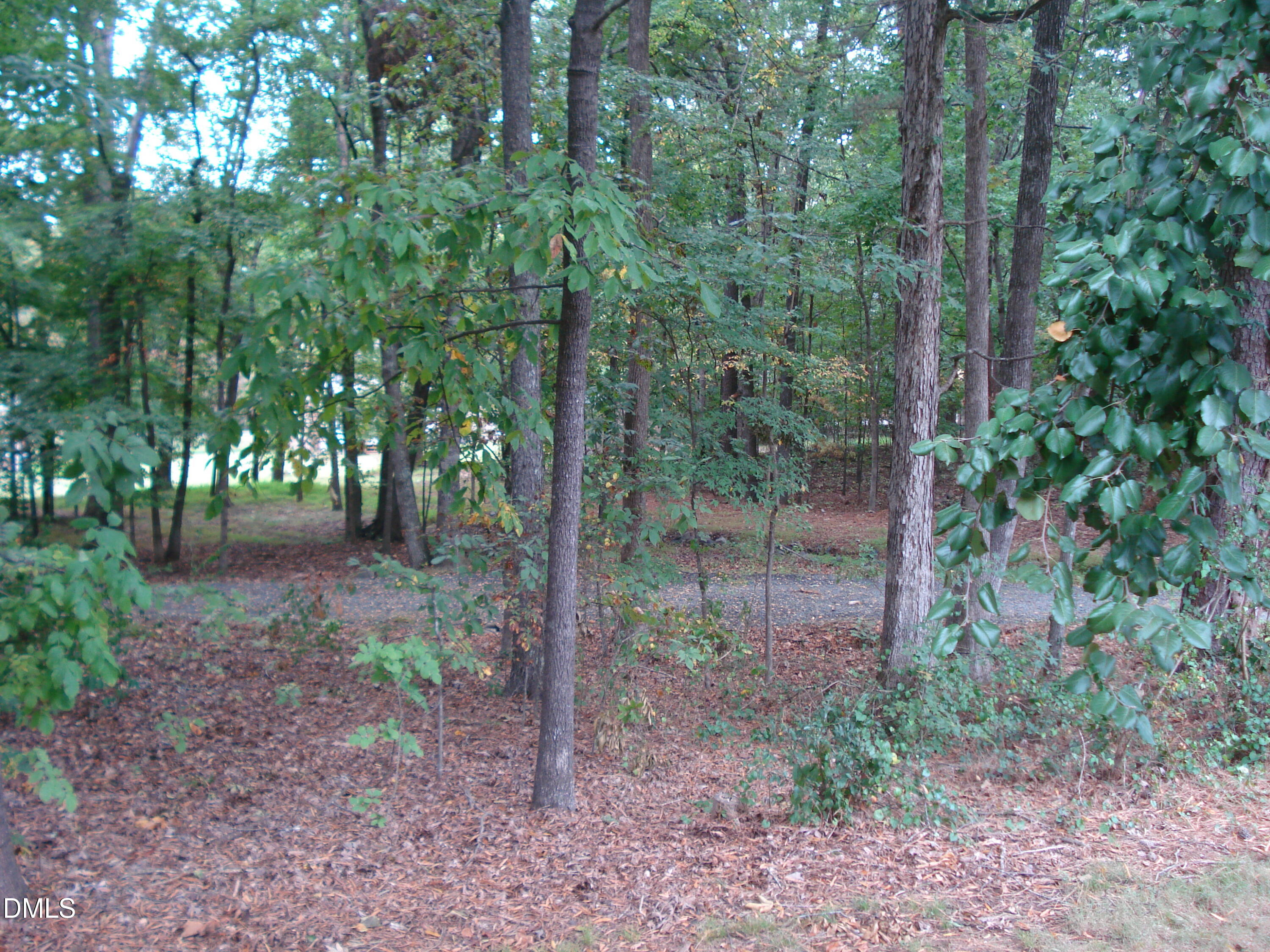 809 Brandon Road