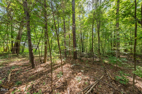 1556 DOGWOOD DR, OXFORD, NC 27565 - Image a40f3fe1563e1fd142f8b5ad2be54481/3199737541
