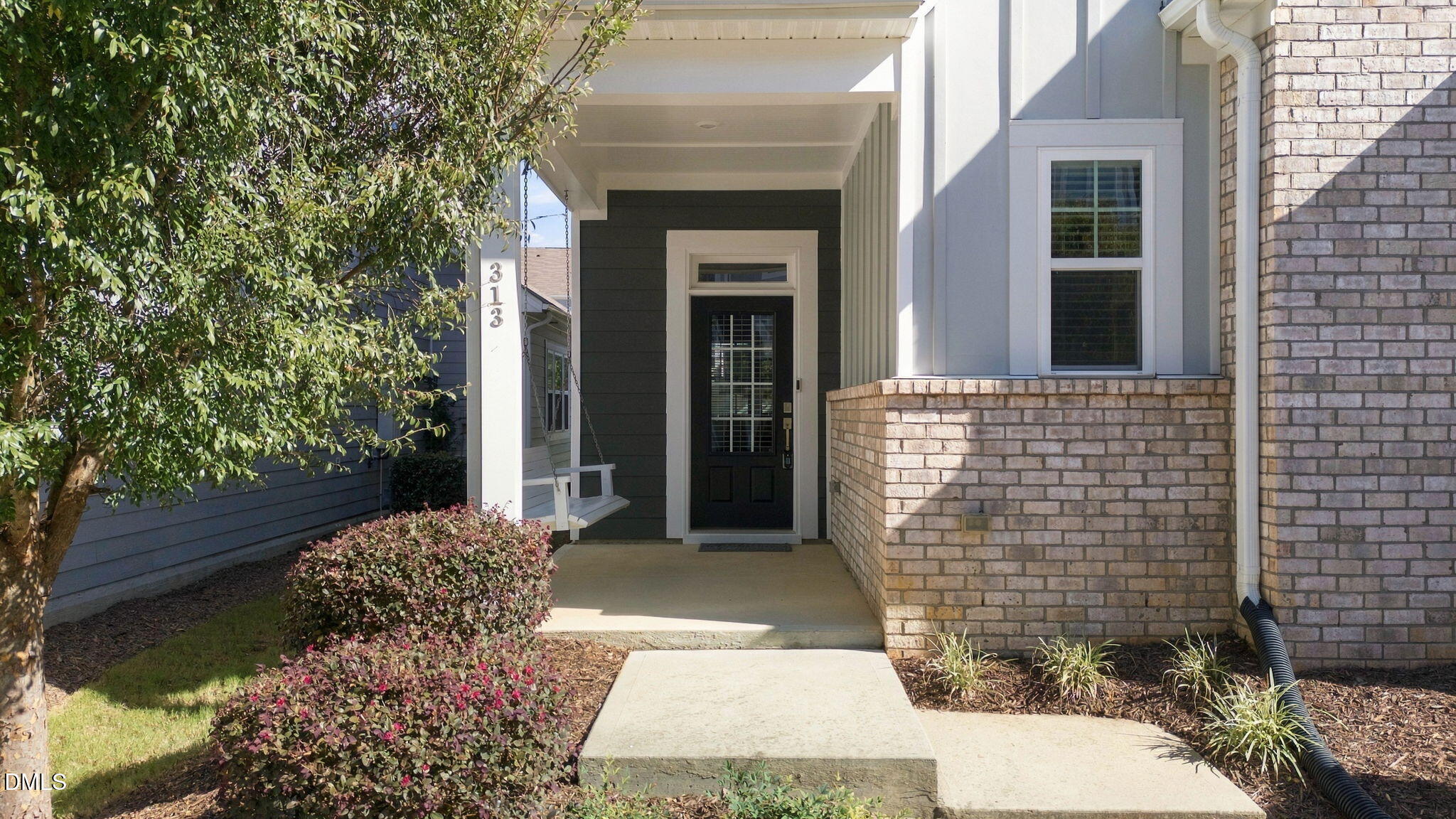 313 Skymont Drive
