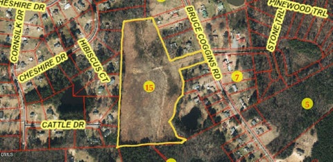 0 Bruce Coggins Road Sanford NC 27332