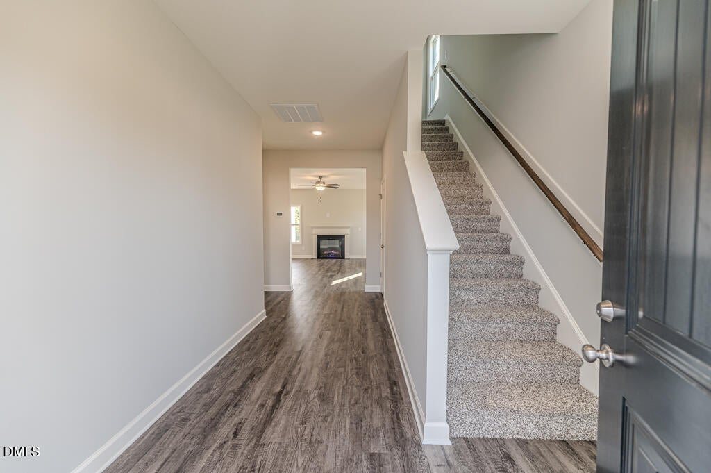 30 Blackgum Court