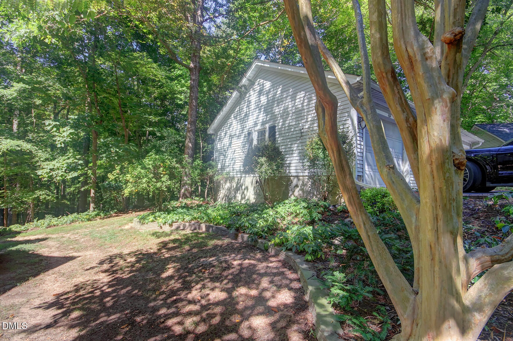 464 Beechmast