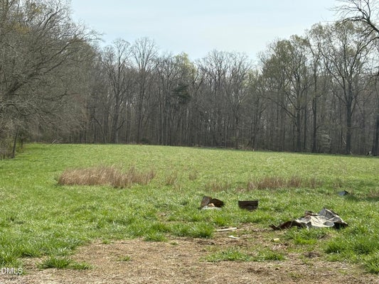 115 WINFRED BRADY RD, BENNETT, NC 27208 - Image aaec46e4df3dec1e778c30557f3e374f/3626063520