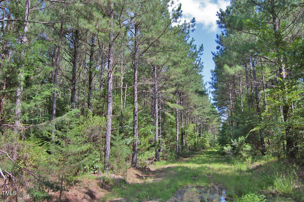 0 Buckhorn Road