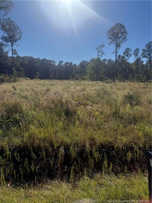 1291 BILL HOOKS ROAD, WHITEVILLE, NC 28472 - Image aeda7899d5f6972542cf6a515f23b7ac/1802495771