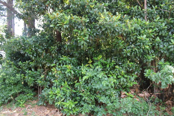 20 GRANTS PATH, SNOW HILL, NC 28580 - Image af20454f443fc8816d0d77ece8a60a2a/3108927721