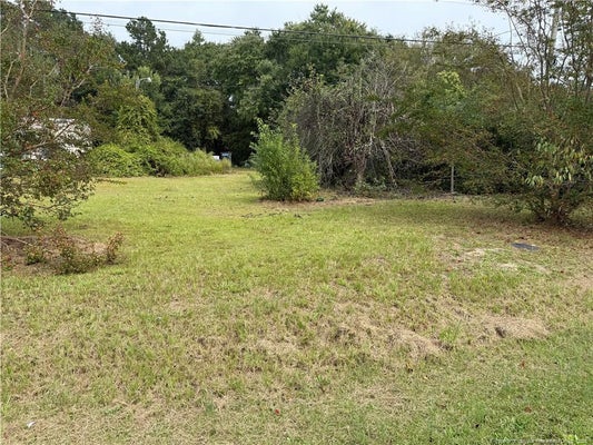 2543 S DUFFIE RD, RED SPRINGS, NC 28377 - Image b0dc3cefe54f2160f31744d874b3f424/1869565027