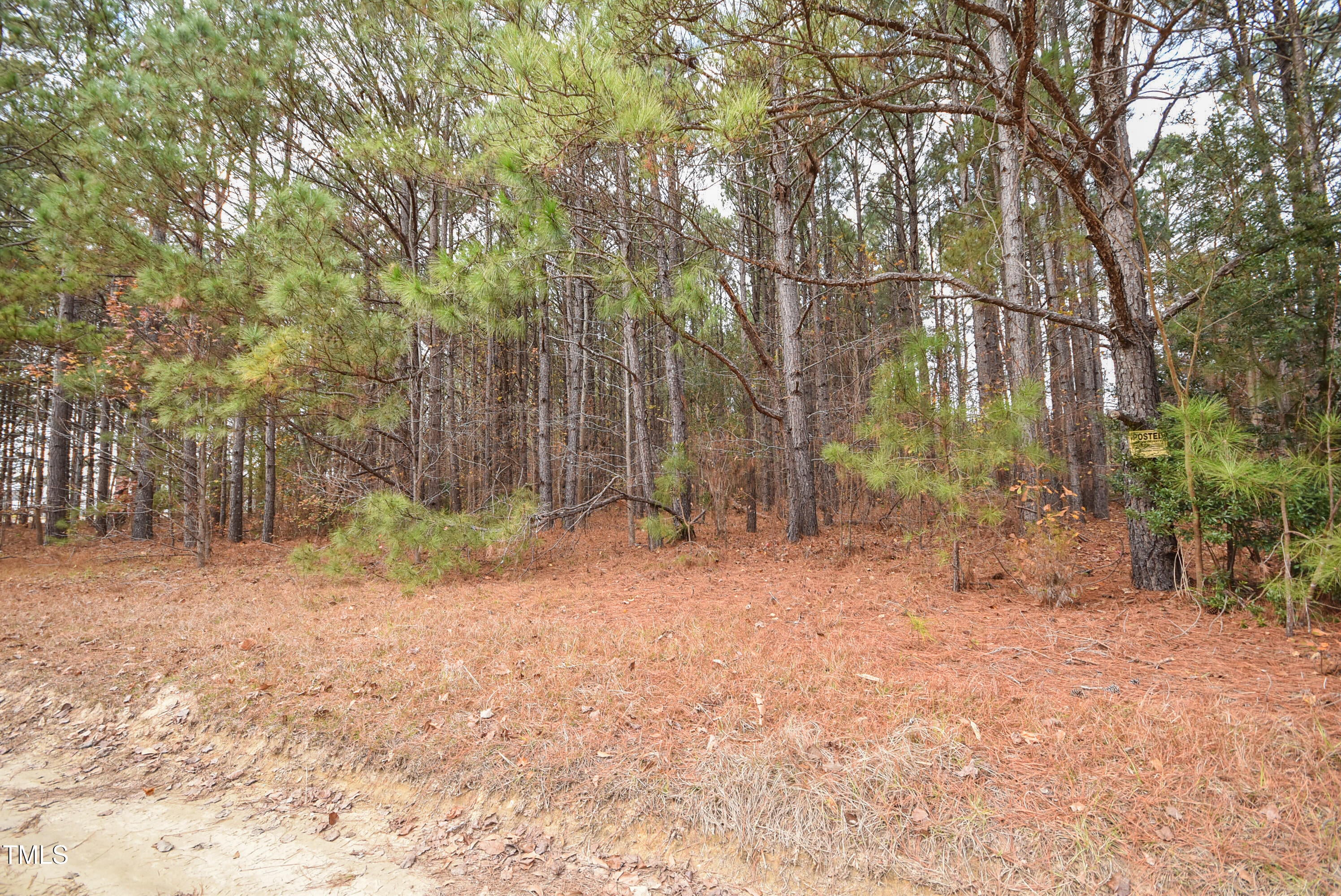 Parcel #3 Bob Lee Lane