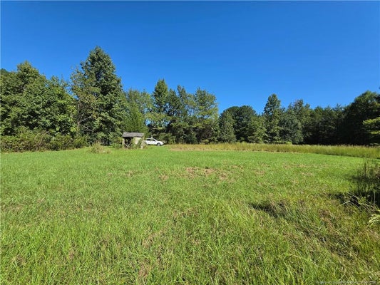 9685 GILES RD, LINDEN, NC 28356 - Image b343a9f638dbd6c4d88fc817fcd8872c/1830117464