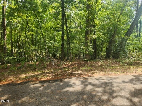 Photo of 249 Sacred Fire Road, Louisburg, NC 27549 (MLS # 10184069)