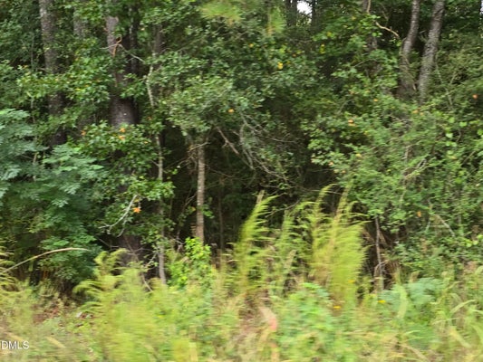 734 COTTON RD, FUQUAY VARINA, NC 27526 - Image b7f268340c9faed7f7cbc98e50bb4685/918984618