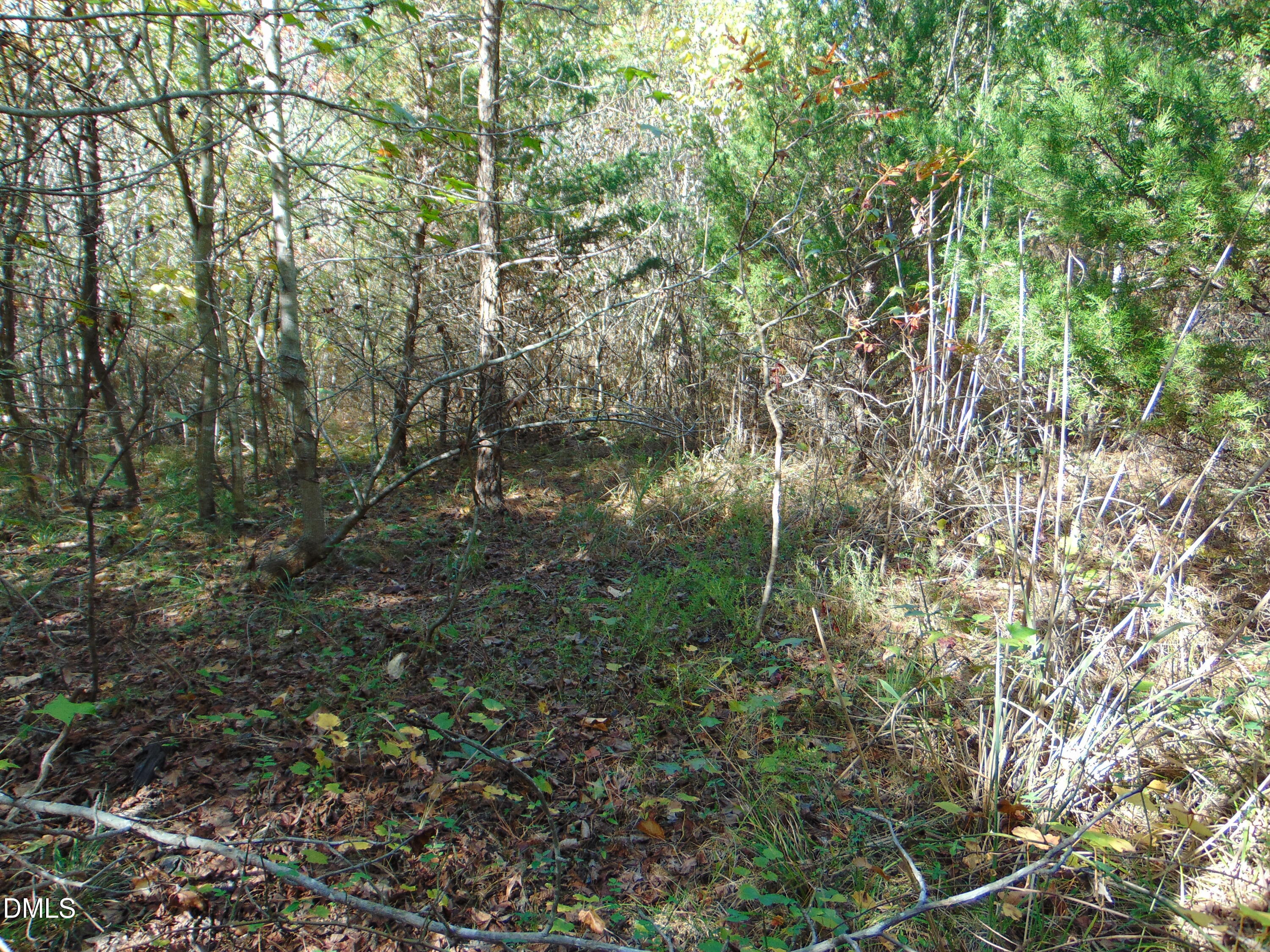 Lot 11 Bill Smith Rd