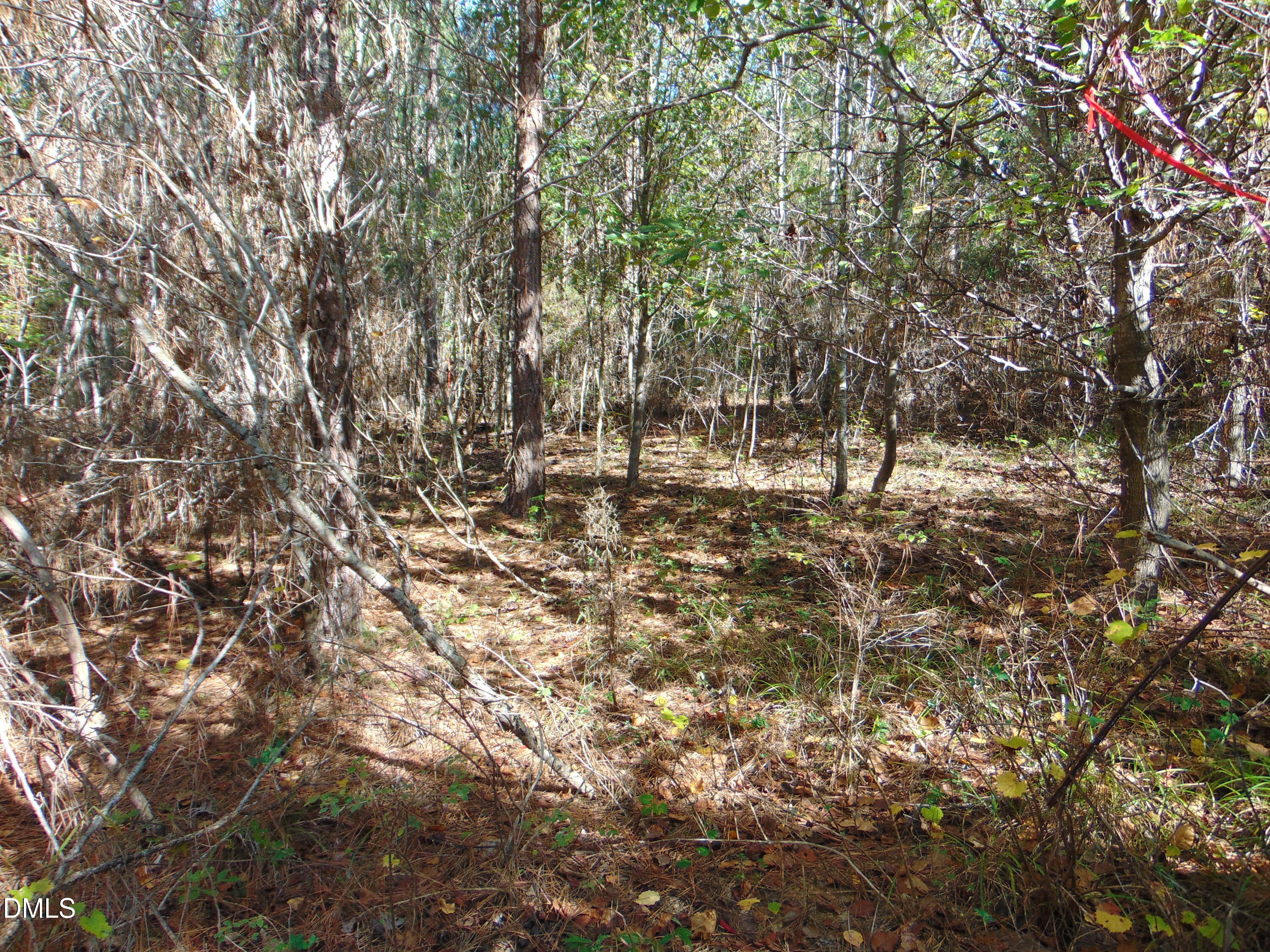 Lot 11 Bill Smith Rd