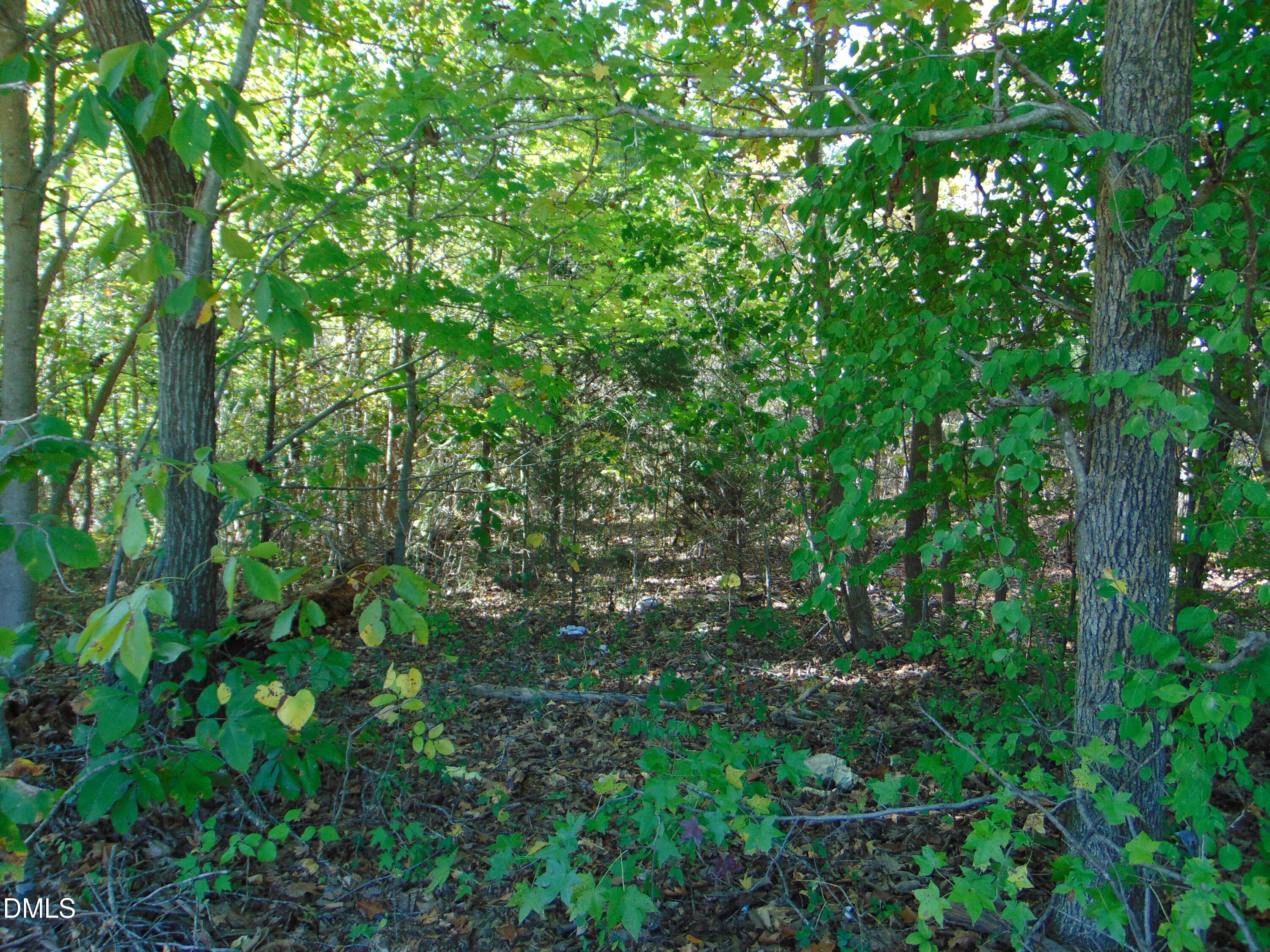 Lot 11 Bill Smith Rd