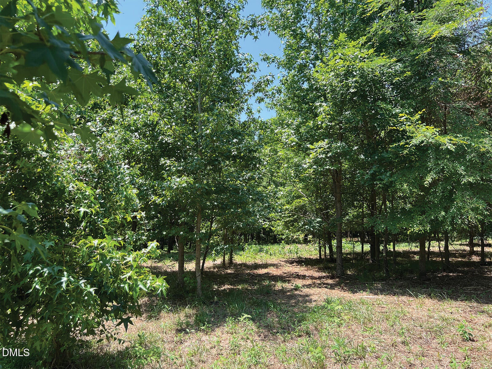 2338 Bowers Store Road