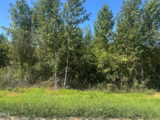 W OLD SPRING HOPE RD, SPRING HOPE, NC 27882 - Image bc2bae05bee4acd5fb96c8222bd9a087/3199756314