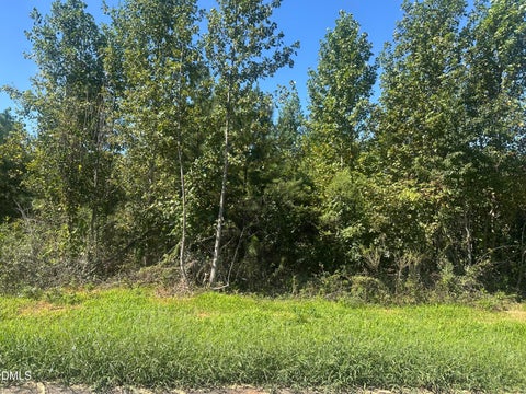 Photo of Lot 21 0 W Old Spring Hope Rd, Spring Hope, NC 27882 (MLS # 10193191)
