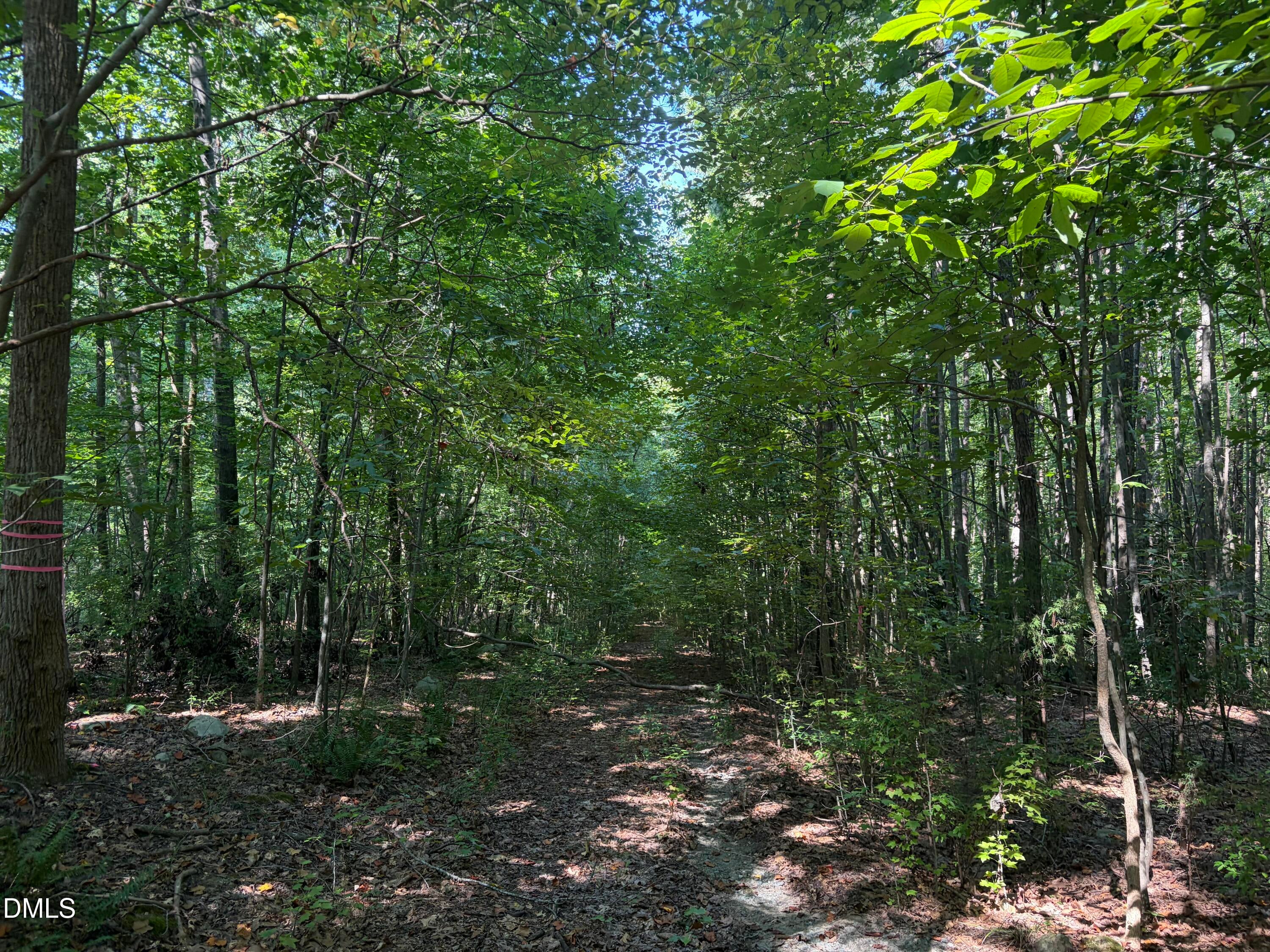 Lot 1 Marvin Edwards Lane