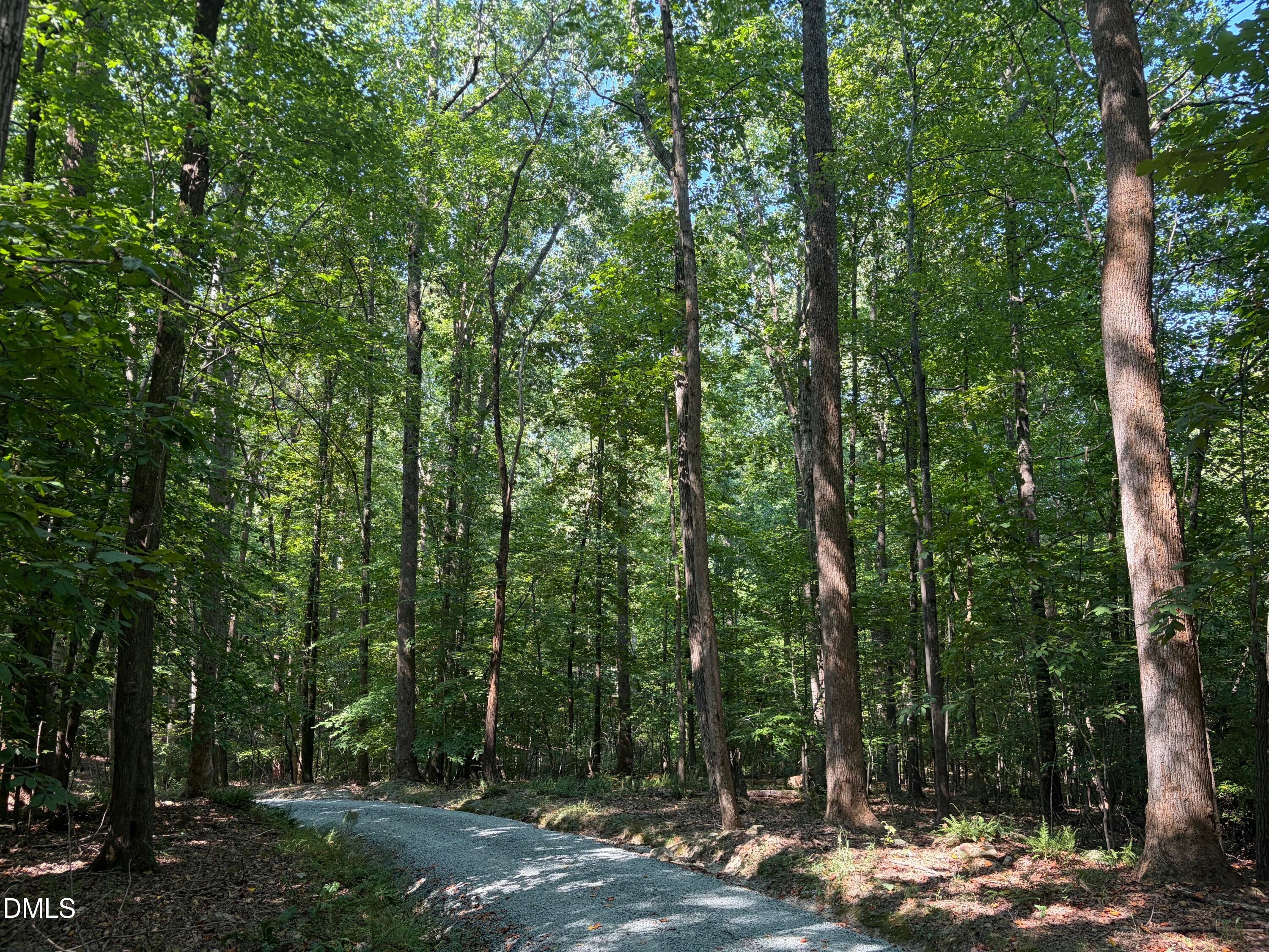Lot 1 Marvin Edwards Lane