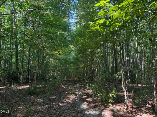 72 MARVIN EDWARDS LN, CHAPEL HILL, NC 27517 - Image bc40647caa1c16a1c724eaf19a55bcad/3957120143