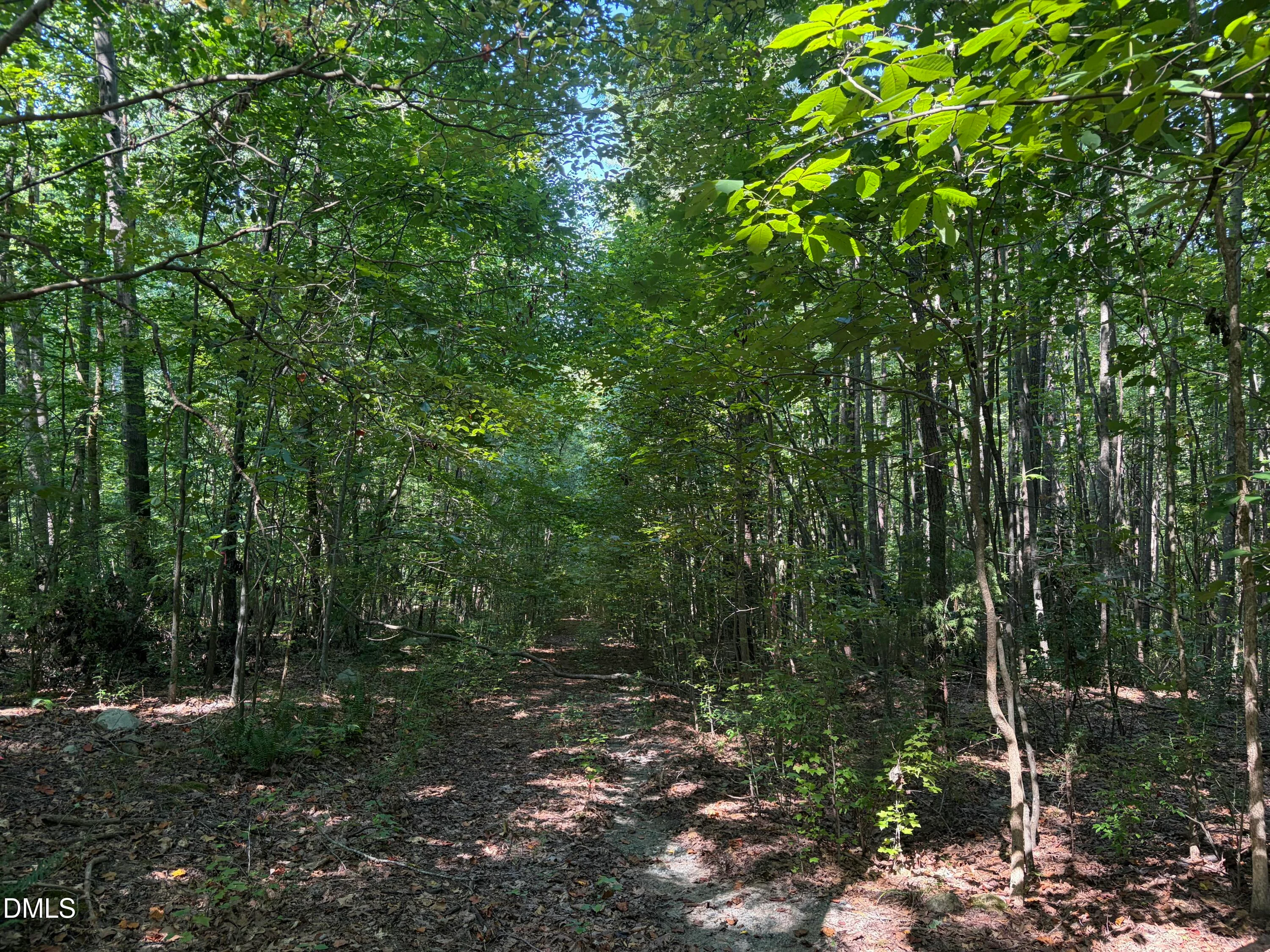 Lot 1 Marvin Edwards Lane