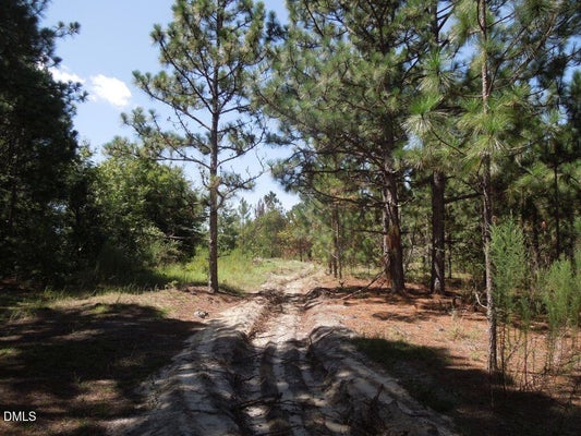 24 MARKS RD, CAMERON, NC 28326 - Image be08f371d71dda0ec9927d16cf01331f/4039441035