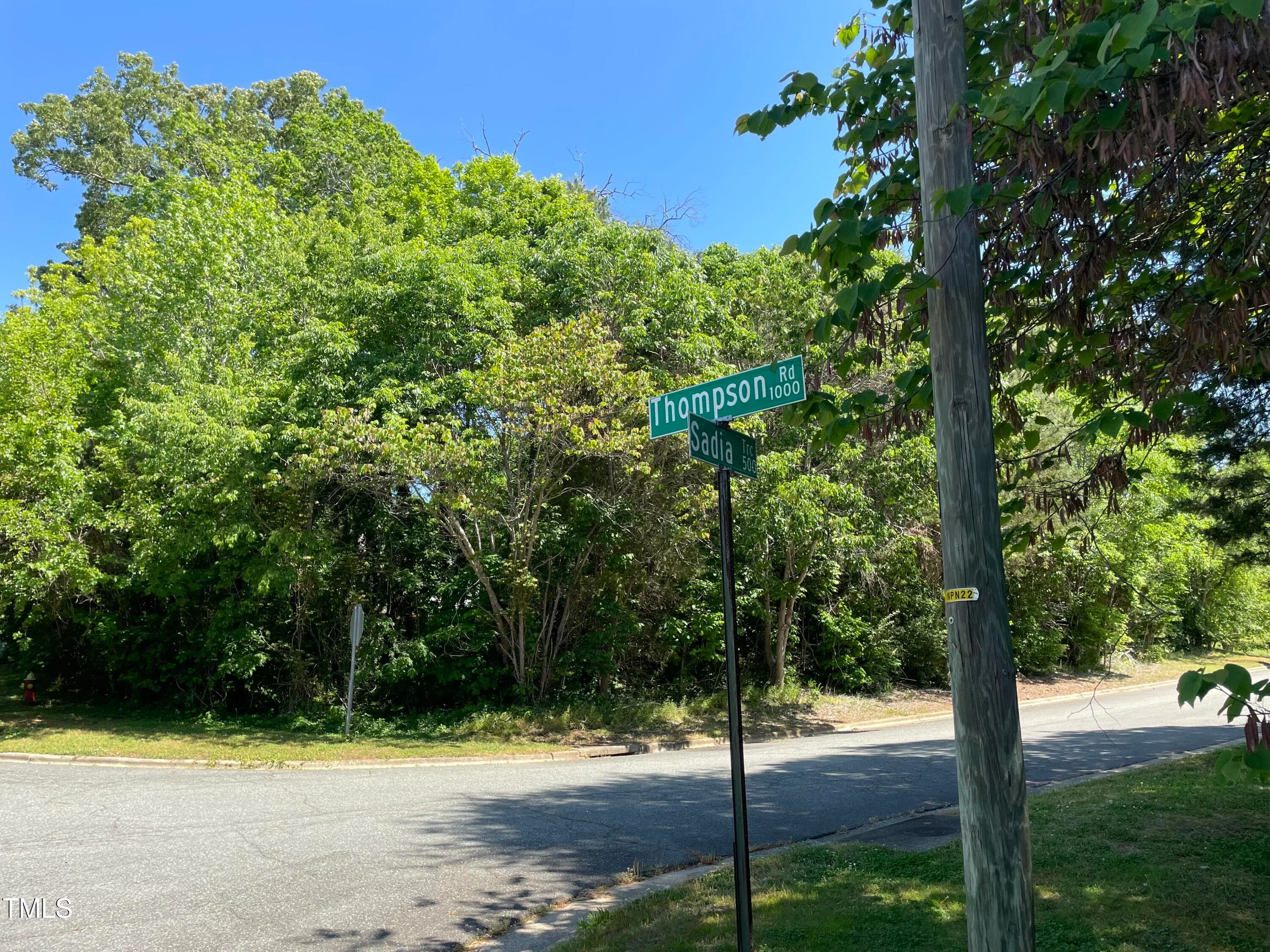 39 Thompson Road