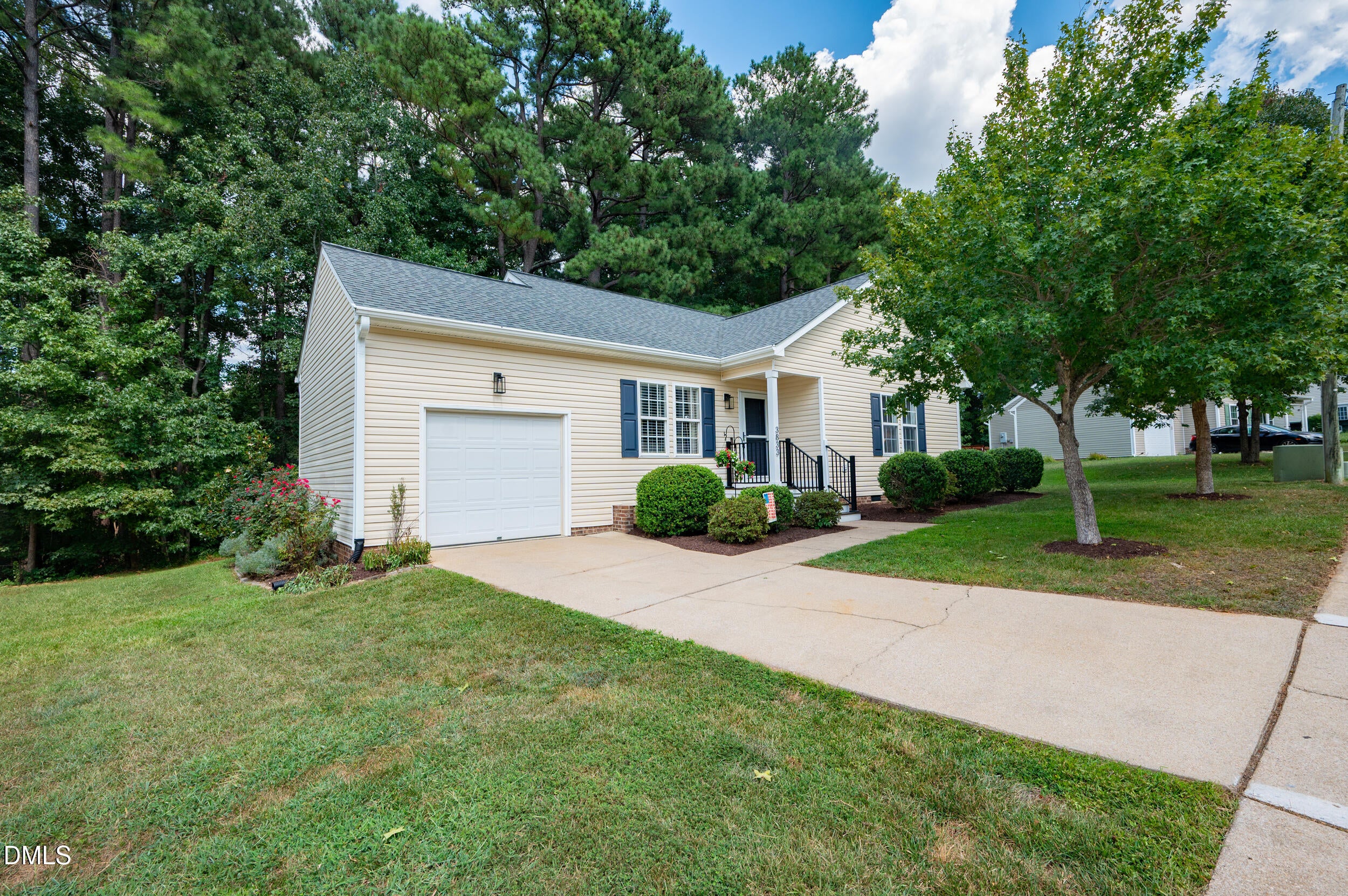 3833 Lodgepole Lane