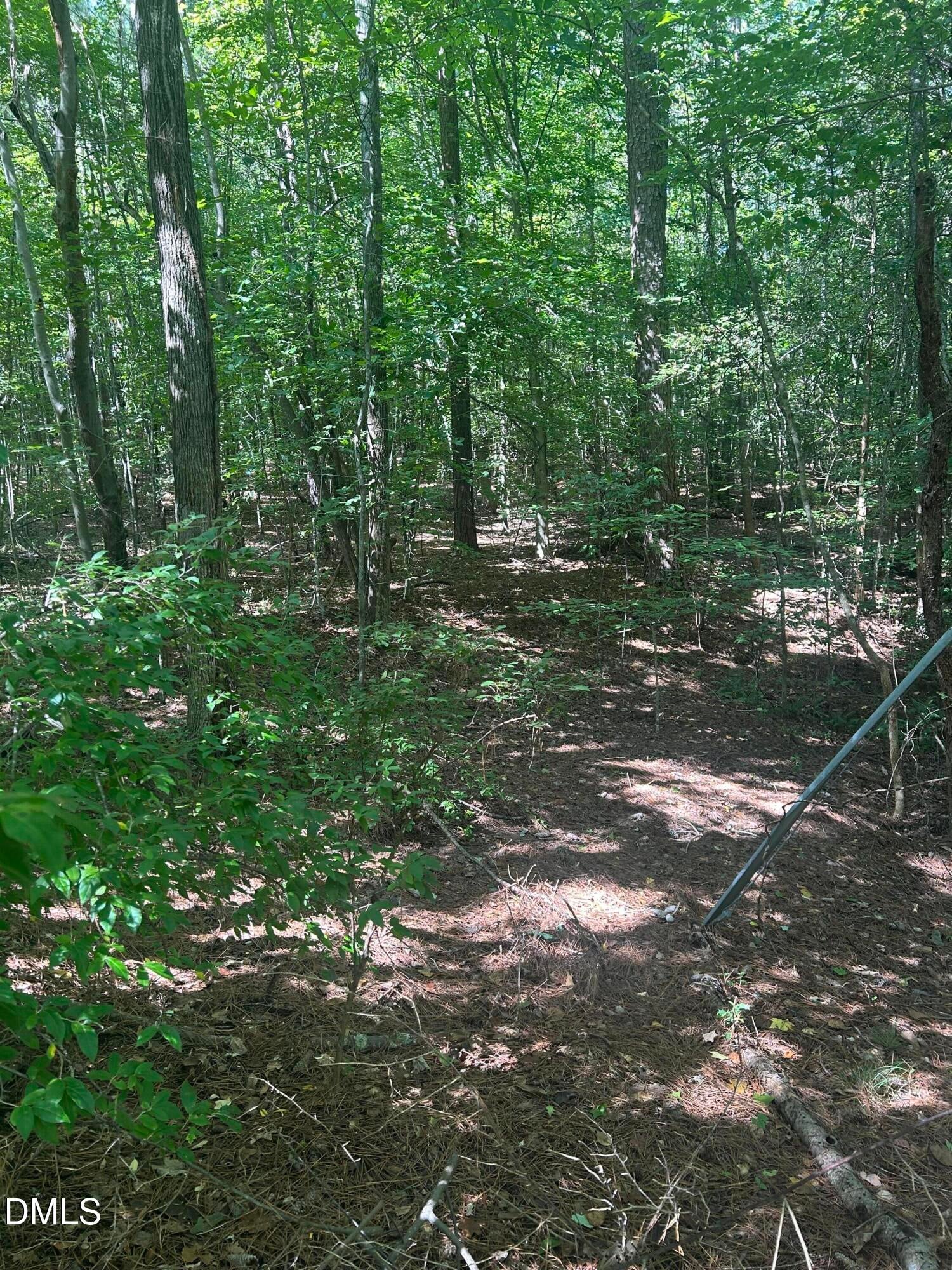 1317 Pine Trail